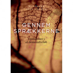 Gennem sprækkerne: Opdagelser i et demensforløb