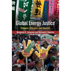 Global Energy Justice: Problems, Principles, and Practices