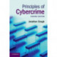 Principles of Cybercrime