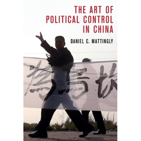 The Art of Political Control in China