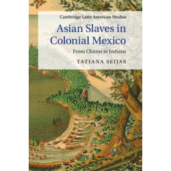 Asian Slaves in Colonial Mexico: From Chinos to Indians