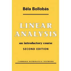 Linear Analysis: An Introductory Course