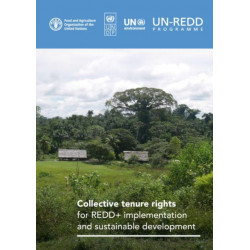 Collective tenure rights for REDD+ implementation and sustainable development