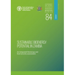 Sustainable bioenergy potential in Zambia: an integrated bioenergy food security assessment