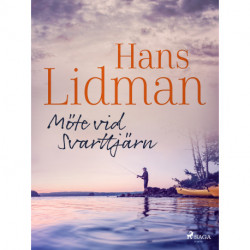 Möte vid Svarttjärn