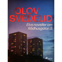 Elva noveller om Rådhusgatan 8