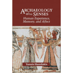 Archaeology and the Senses: Human Experience, Memory, and Affect