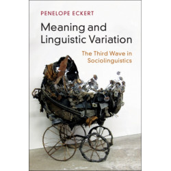Meaning and Linguistic Variation: The Third Wave in Sociolinguistics