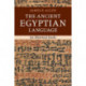 The Ancient Egyptian Language: An Historical Study