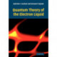 Quantum Theory of the Electron Liquid
