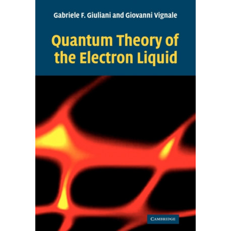 Quantum Theory of the Electron Liquid