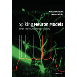 Spiking Neuron Models: Single Neurons, Populations, Plasticity