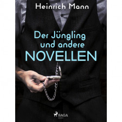 Der Jüngling und andere Novellen