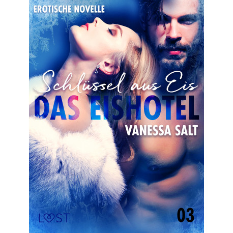 Das Eishotel 3 - Schlüssel aus Eis - Erotische Novelle