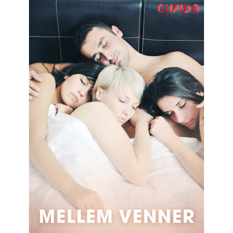Mellem venner – erotiske noveller