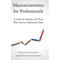 Macroeconomics for Professionals: A Guide for Analysts and Those Who Need to Understand Them