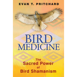 Bird Medicine: The Sacred Power of Bird Shamanism