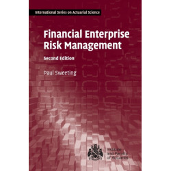 Financial Enterprise Risk Management