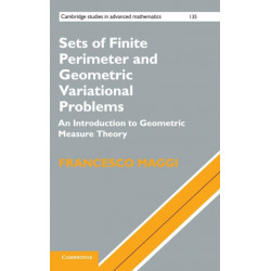 Sets of Finite Perimeter and Geometric Variational Problems: An Introduction to Geometric Measure Theory