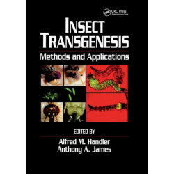 Insect Transgenesis: Methods and Applications