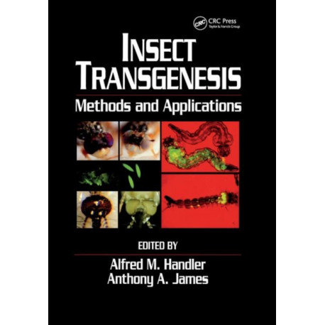 Insect Transgenesis: Methods and Applications