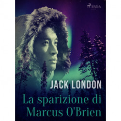 La sparizione di Marcus O'Brien