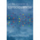 The Character of Consciousness
