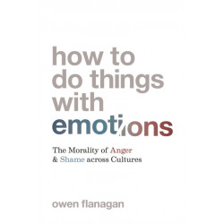 How to Do Things with Emotions: The Morality of Anger and Shame across Cultures