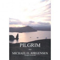 Pilgrim: en poetisk rejse igennem livets mangfoldighed af overraskelser og oplevelser