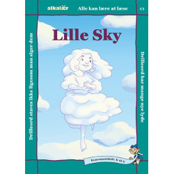 Lille Sky