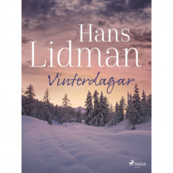 Vinterdagar