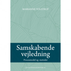 Samskabende vejledning: Procesmodel og -metoder