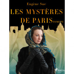 Les Mystères de Paris--Tome VI