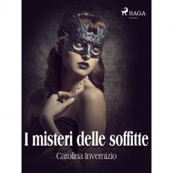 I misteri delle soffitte