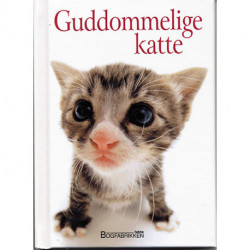 Guddommelige katte
