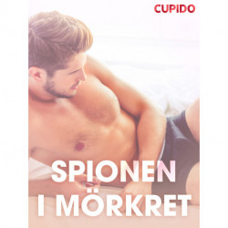 Spionen i mörkret - erotiska noveller