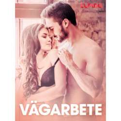 Vägarbete - erotiska noveller