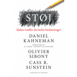 Støj - Sådan træffer du bedre beslutninger