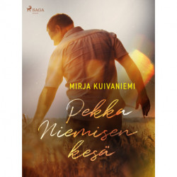 Pekka Niemisen kesä