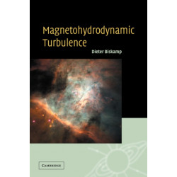 Magnetohydrodynamic Turbulence