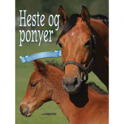 Heste og ponyer