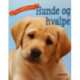 Hunde og hvalpe