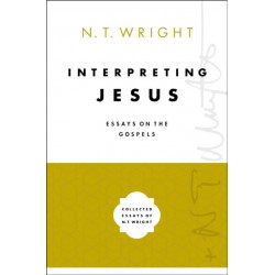 Interpreting Jesus: Essays on the Gospels
