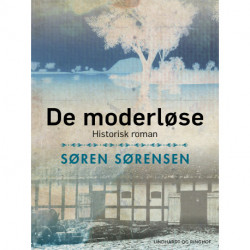De moderløse. Historisk roman