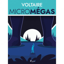 Micromégas