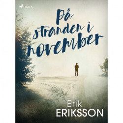 På stranden i november