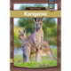 Kangaroo