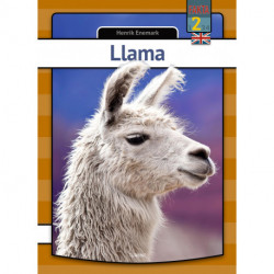 Llama