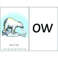 Read Write Inc. Phonics: Sets 2 & 3 Speed Sound Cards Pack of 10 (small size)