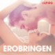 Erobringen - erotisk novelle